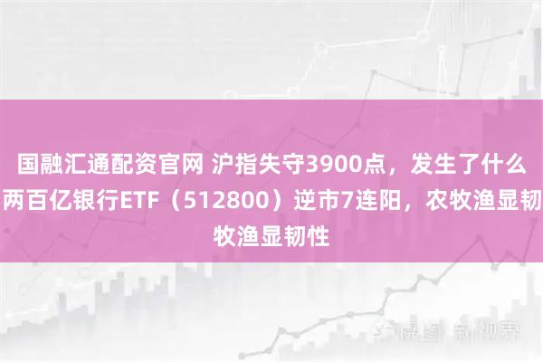 国融汇通配资官网 沪指失守3900点，发生了什么？两百亿银行ETF（512800）逆市7连阳，农牧渔显韧性